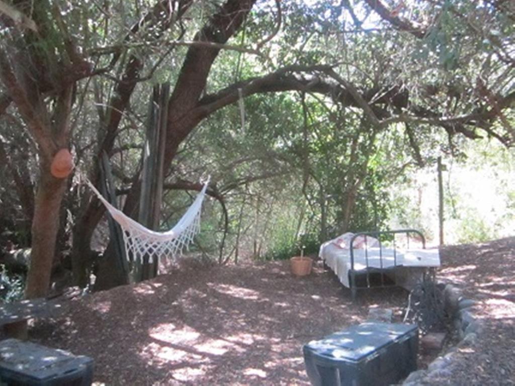 Cabana De Adobe En Lago Rapel Phòng bức ảnh