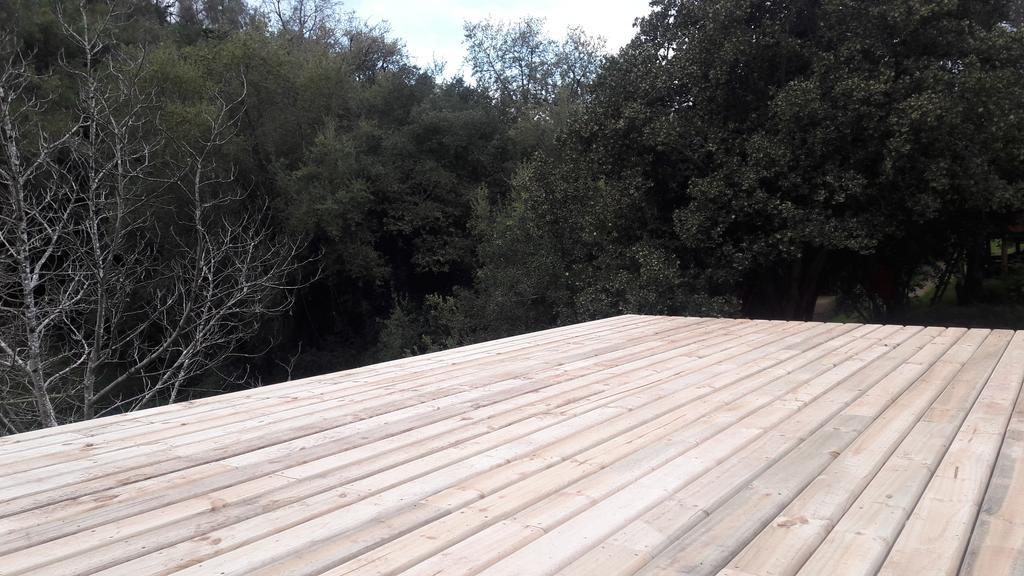Cabana De Adobe En Lago Rapel Ngoại thất bức ảnh