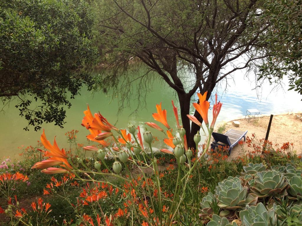 Cabana De Adobe En Lago Rapel Ngoại thất bức ảnh